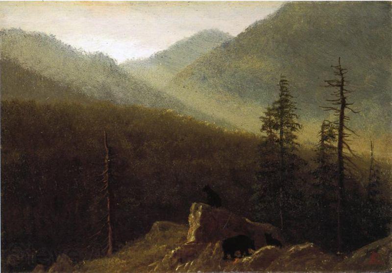 Albert Bierstadt Bears in the Wilderness Germany oil painting art